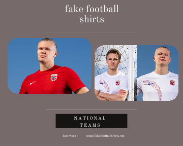 fake Norway football shirts 23-24